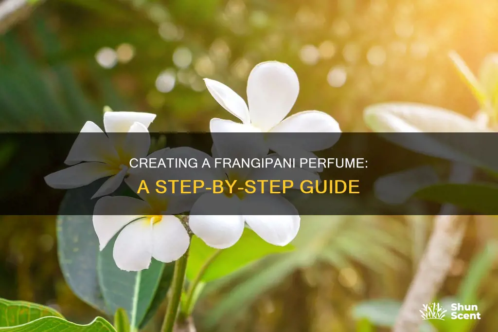 how to make frangipani perfume