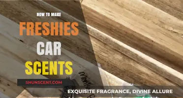 Crafting Freshies Car Scents: Easy DIY Aromas for Your Vehicle