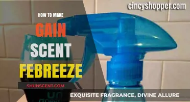 DIY Febreze Scent Booster: Make Your Own Gain Scent Febreze