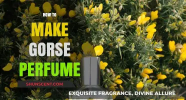 Creating Gorse Perfume: A Beginner's Guide