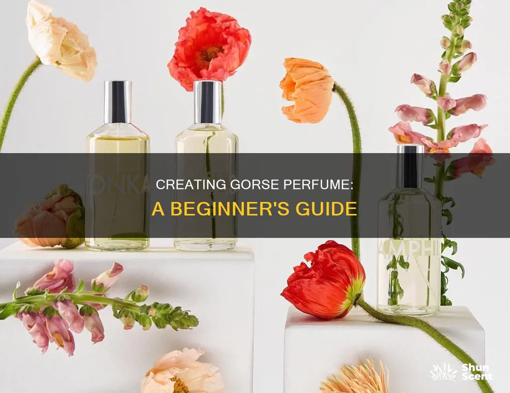 how to make gorse perfume