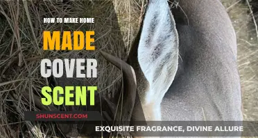 Crafting Homemade Cover Scents: Easy DIY Recipes for Effective Odor Control
