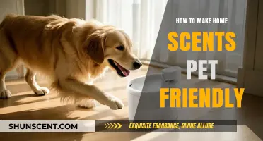 Pet-Safe Home Scents: Tips for Creating a Fragrant, Pet-Friendly Space