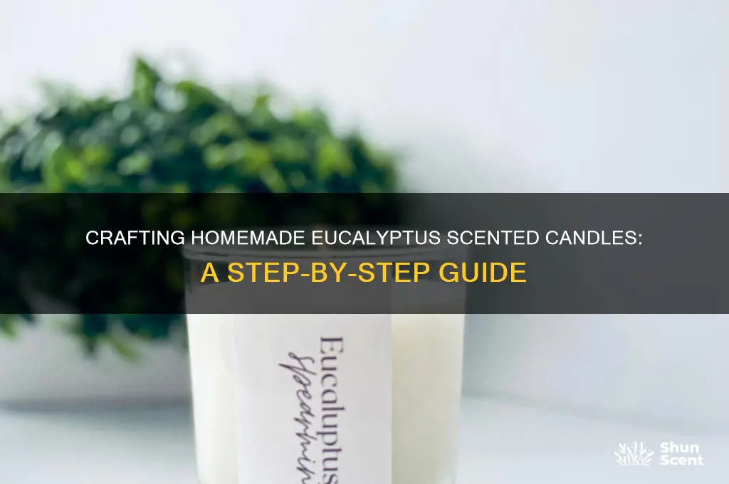 how to make homemade eucalyptuc scented candales