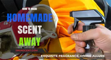 DIY Scent Away: Crafting Homemade Odor Eliminators Easily at Home