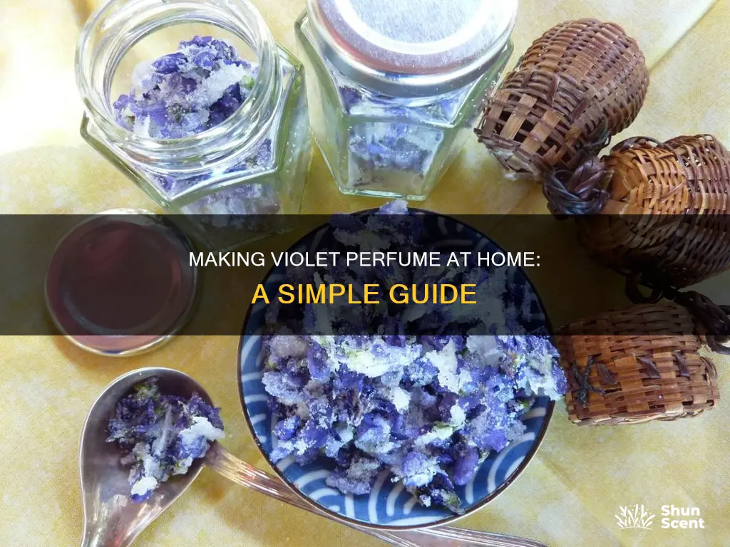 how to make homemade violet perfume