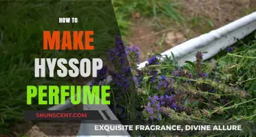 Creating Fragrant Hyssop Perfume at Home