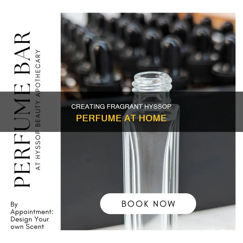 how to make hyssop perfume