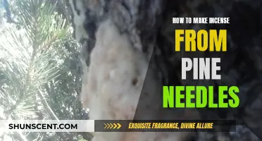 Crafting Incense: Using Pine Needles for a Natural Scent