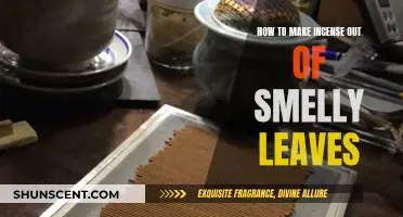 Crafting Incense: Transforming Scents from Nature's Smelly Leaves