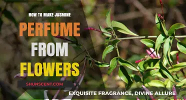 Creating Jasmine Perfume from Flowers