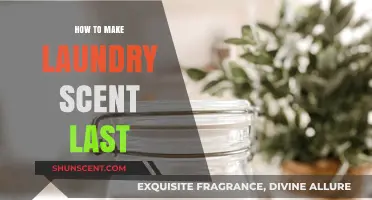 Boost Your Laundry's Freshness: Tips for Long-Lasting Scent
