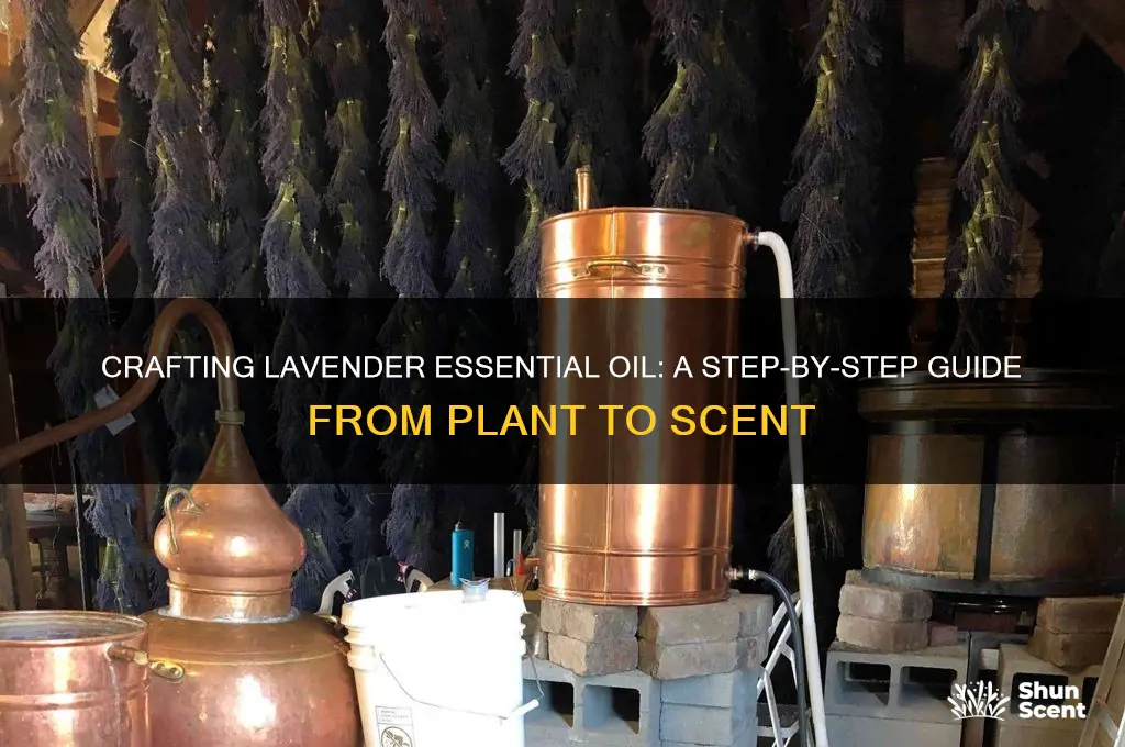 how to make lavender scented essential oil from lavender plant