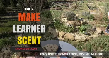 Crafting Learner Scent: Enhance Memory and Focus with Aromatic Techniques