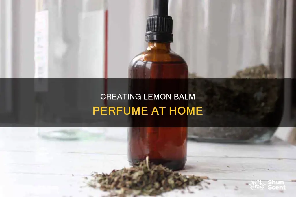 how to make lemon balm perfume