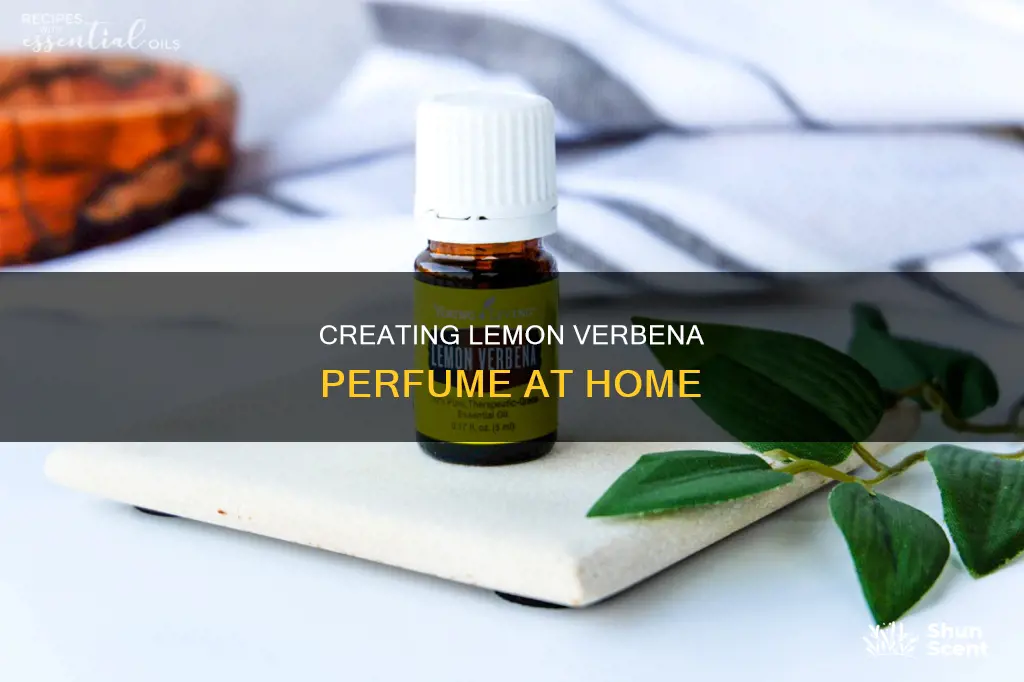 how to make lemon verbena perfume