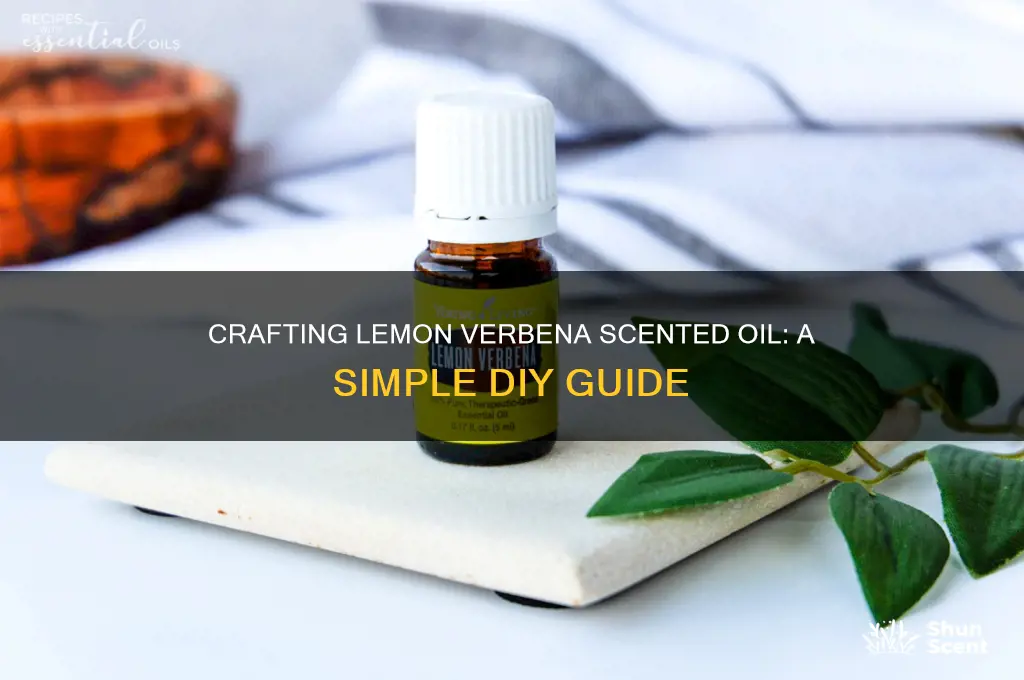 how to make lemon verbena scented oil