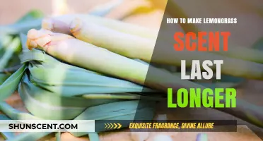 Enhance Your Lemongrass Scent: Tips for Long-Lasting Fragrance