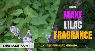 Creating Lilac Fragrance: A Step-by-Step Guide