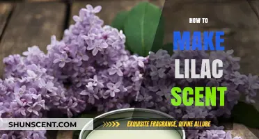 Crafting the Perfect Lilac Scent: A Step-by-Step Guide to Capturing Spring's Essence
