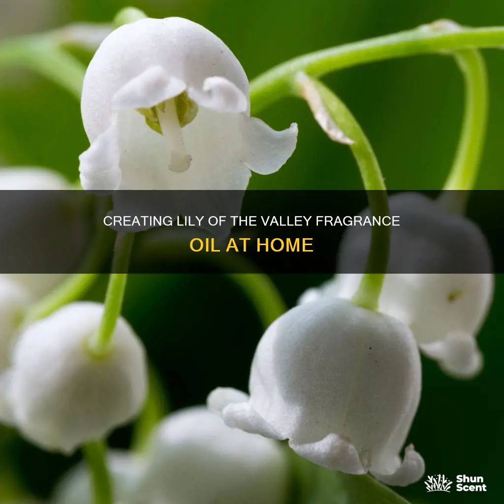 how to make lily of the valley fragrance oil