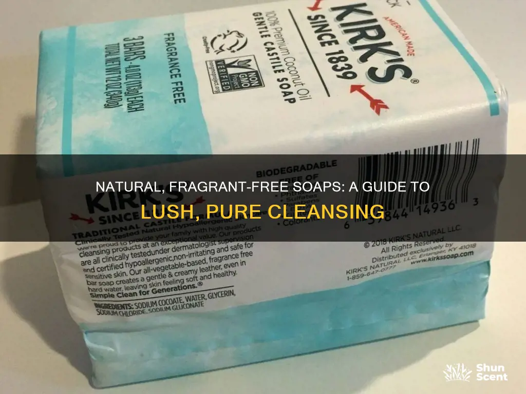 how to make lush soap without fragrance