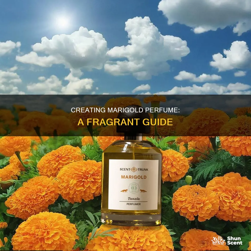 how to make marigold perfume