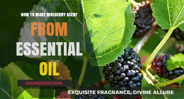 Crafting Mulberry Aroma: Essential Oil Blending Guide for Perfect Scent