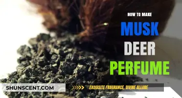 Creating Musk Deer Perfume: A Step-by-Step Guide