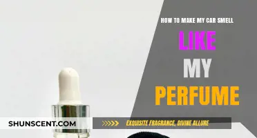 Make Your Car Smell Like Your Perfume: Tips and Tricks