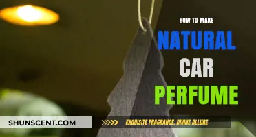 Make Your Own Natural Car Perfume