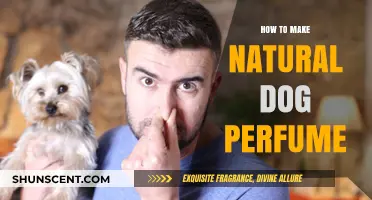 Crafting Natural Dog Perfume at Home