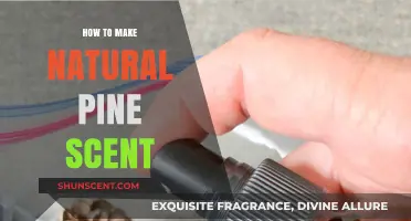 Crafting Natural Pine Scents: Simple DIY Methods for Fresh Aromas