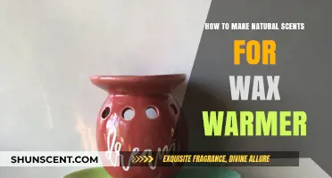 Crafting Natural Aromas: DIY Scents for Your Wax Warmer