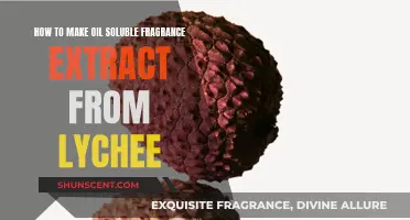 Crafting Lychee's Aroma: A Guide to Oil-Soluble Fragrance Extraction