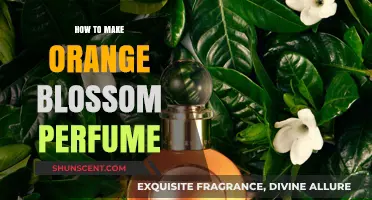 Creating Orange Blossom Perfume: A Beginner's Guide