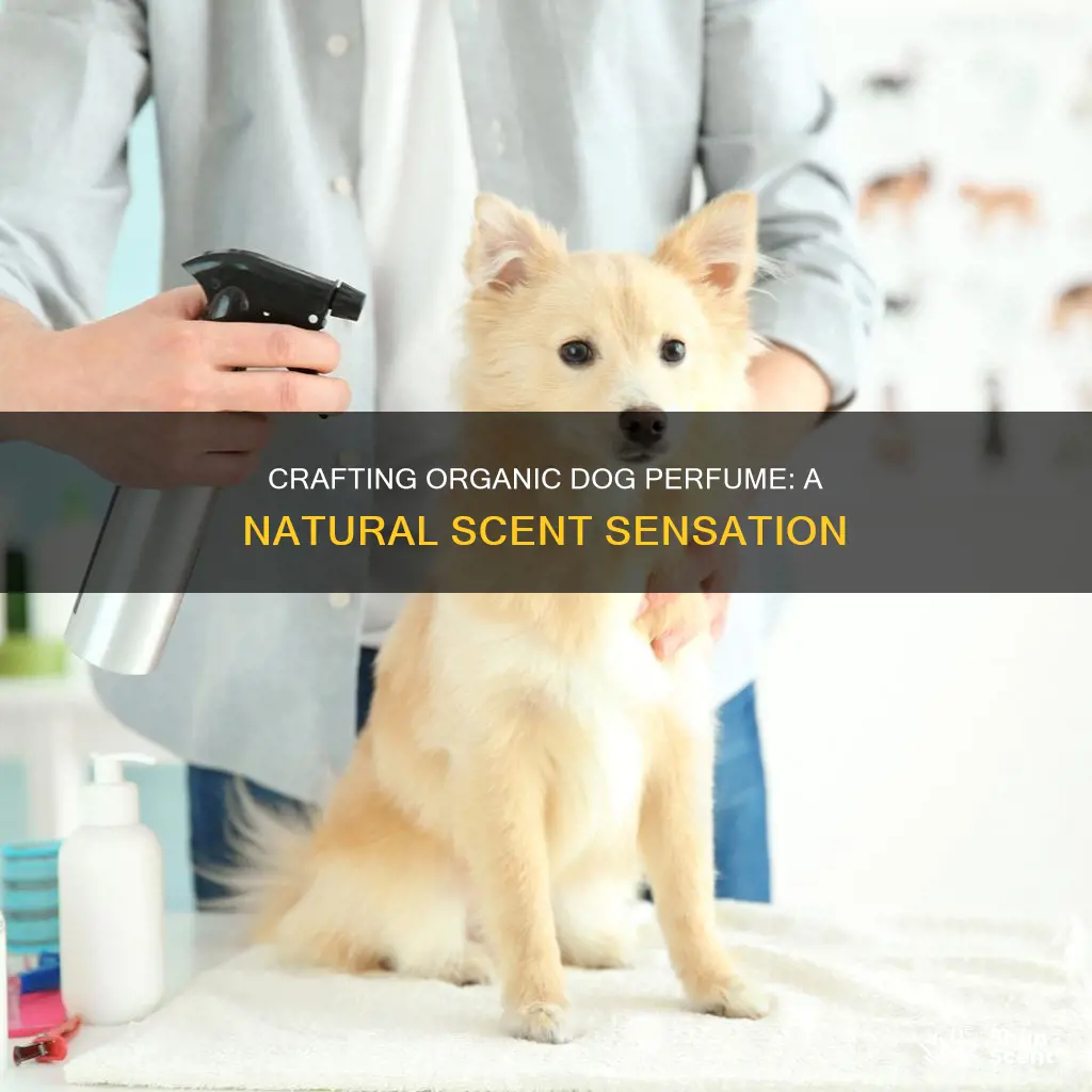 how to make organic dog perfume