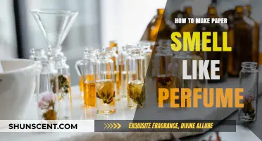 Scented Secrets: Paper, Perfume, and You