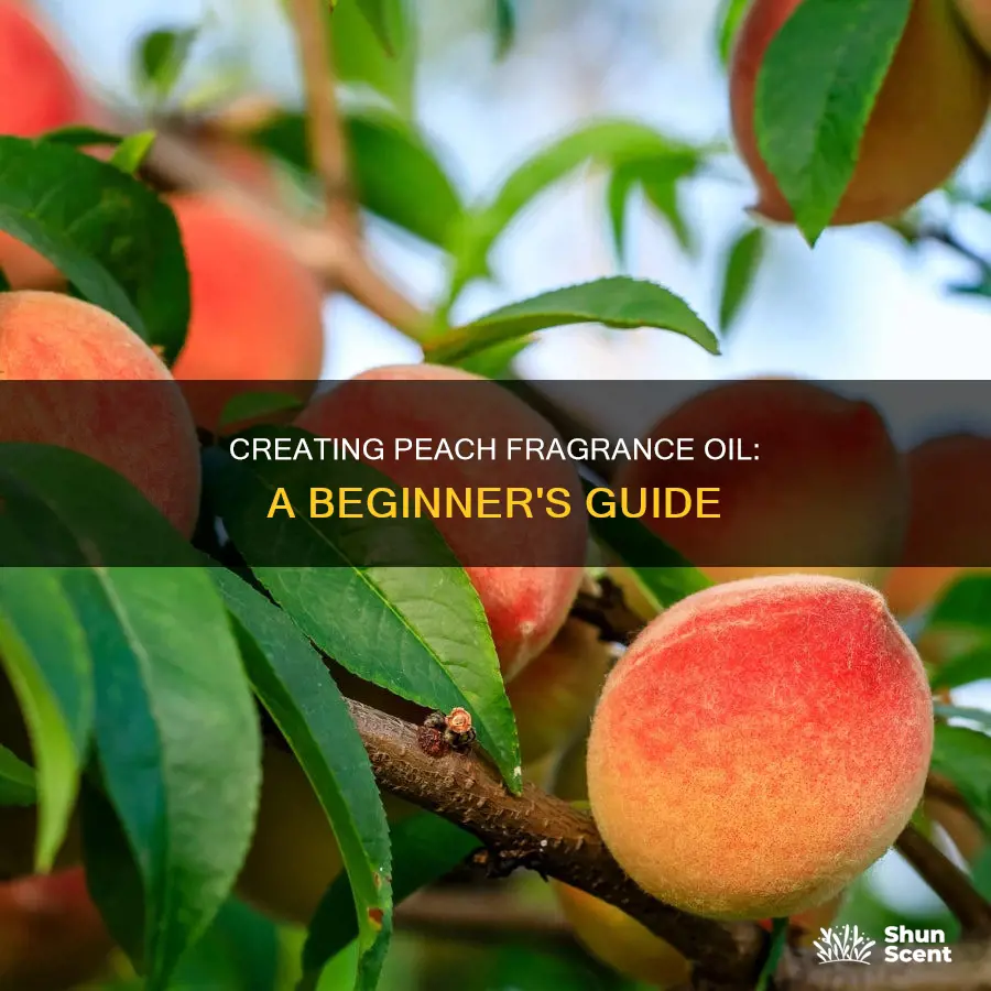 how to make peach fragrance oil