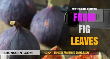 Create a Fragrant Fig Leaf Perfume at Home
