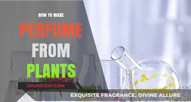 Crafting Scents: Making Perfume from Plants