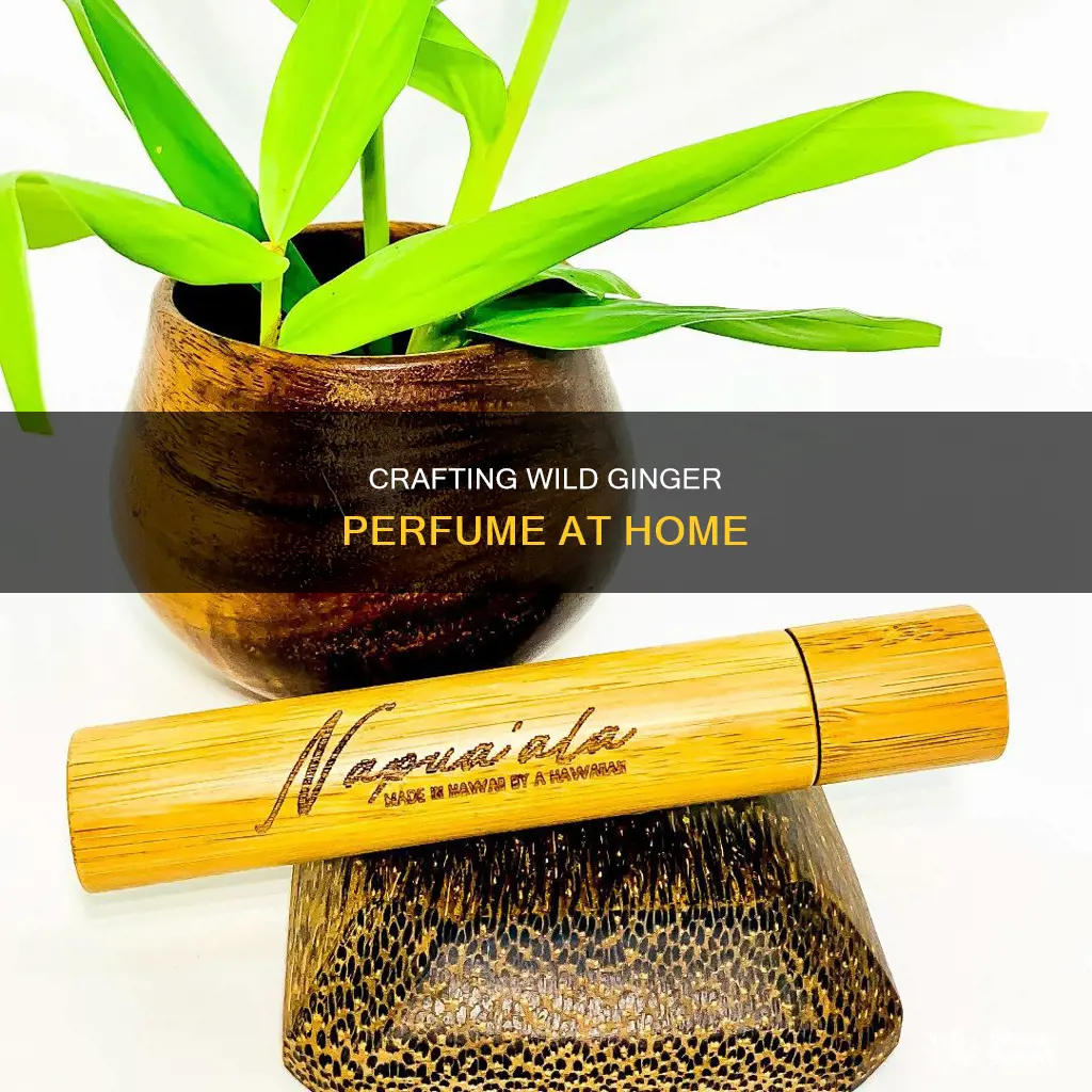 how to make perfume from wild ginger