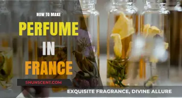 Creating Scents: France's Perfume-Making Process
