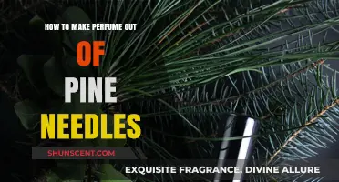Crafting Pine Needle Perfume: A Beginner's Guide