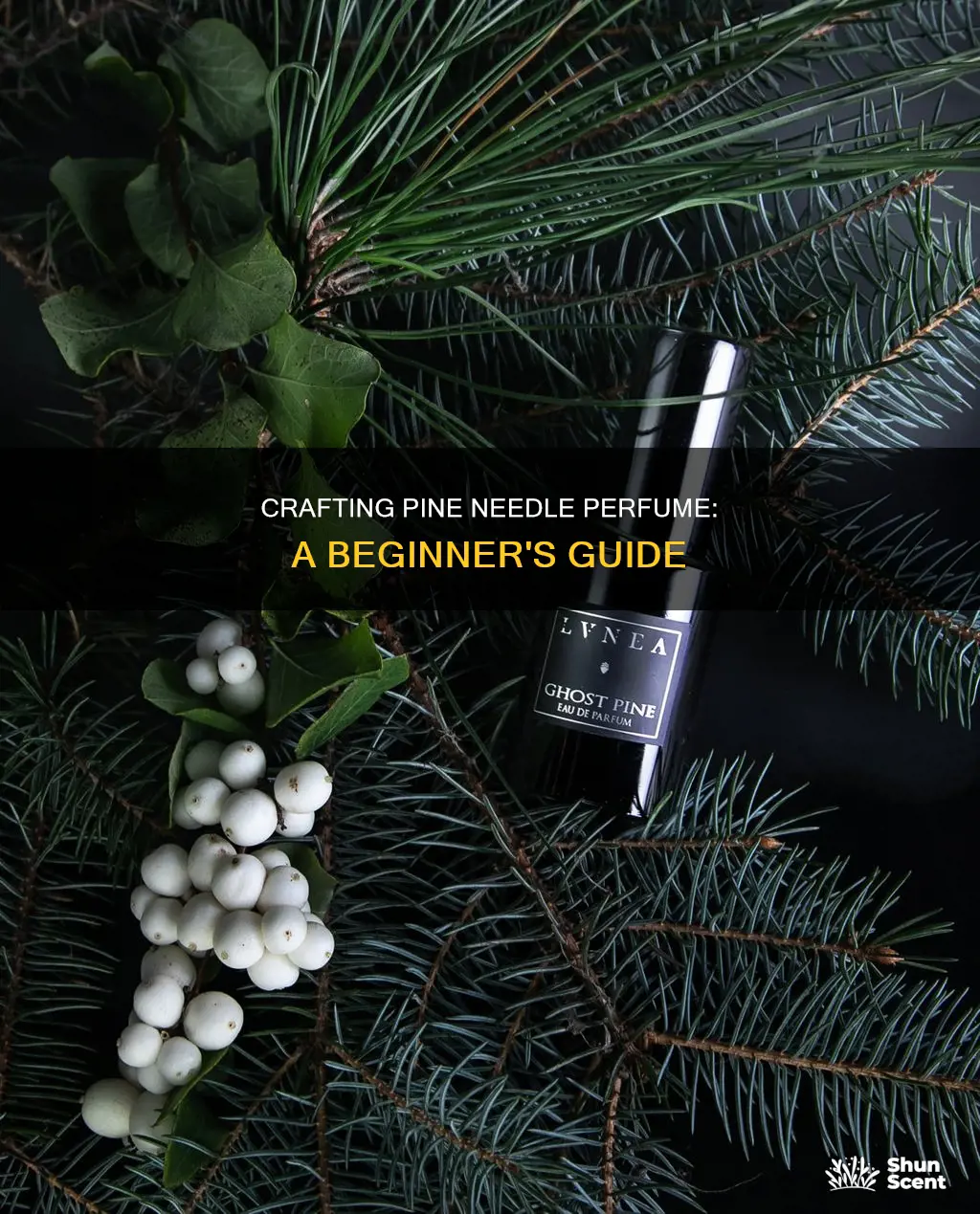 how to make perfume out of pine needles