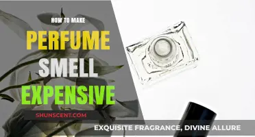 Crafting an Expensive Perfume Scent: The Art of Luxury