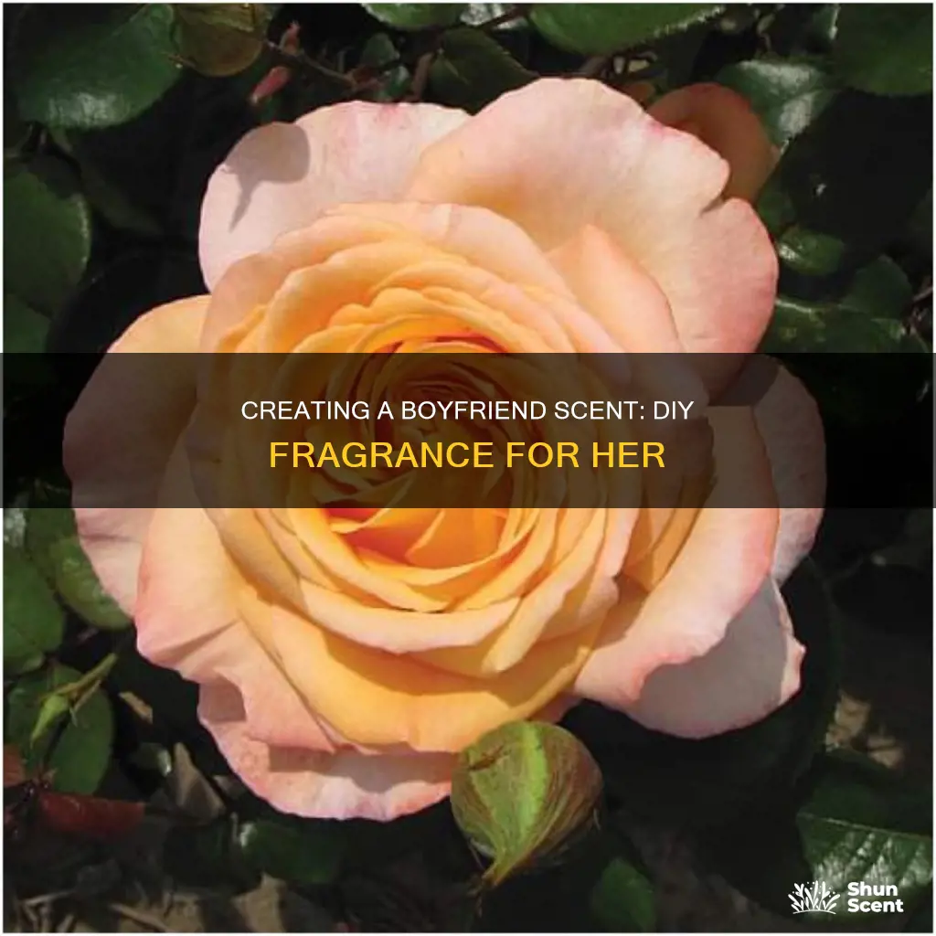 how to make perfume that smell like boyfriend