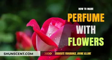 Creating Floral Scents: Making Perfume with Flowers