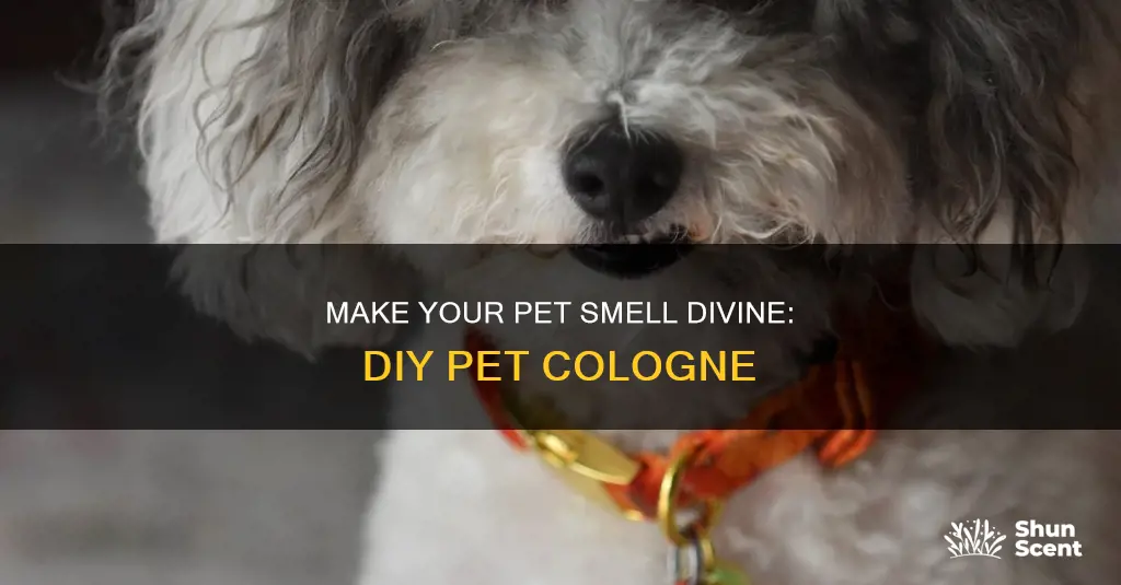 how to make pet cologne