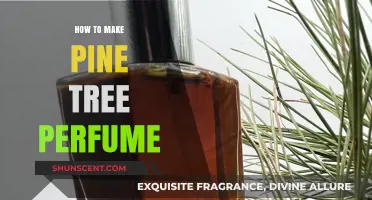 Creating Pine Tree Perfume: A Beginner's Guide